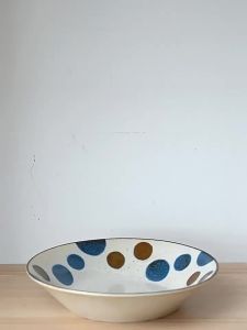 Mino Yaki | Imported Safe Underglaze Japanese Bowl and Plate Set