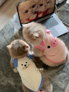 Mint Gradient Thin Cat Dog Vest Spring Summer Autumn Anti-Loss Hair Clothing Lightweight Pet Vest for Dogs And Cats