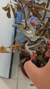 กรรไกร ตัดกิ่งไม้ 8นิ้ว 10นิ้ว กรรไกรตัดกิ่งไม้ คุณภาพดี ตัดกล้วยไม้ ตัวปากกรรไกรทำจาก สแตนเลสเชุบแข็งพิเศษ มีความคมสูง ความทนทานกว่าใ