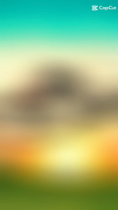 kito รองเท้าแตะหูหนีบ ยี่ห้อ kito รุ่น 4815 ไซร์ 36-39