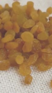 Kismis Golden Raisins Arab Premium 1 Kg Jumbo Original Murah