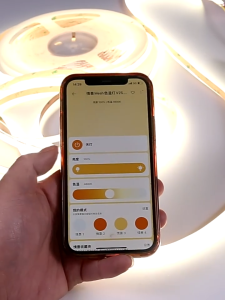 TUYA Smart 24V Transformer for COB LED Strip & Smart Lighting - Tuya-Compatible Dimmer with Timer Color Temperature Control & Energy Saving (CE/FCC Certified)