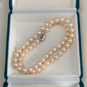 6.7–7.5mm Round Champagne Akoya Pearl Necklace with Sterling Silver Clasp – 17.5"