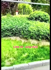 มุ้งตากอาหาร ขนาด 50x50x65 ซม คอนโดตากปลา มุ้งตากปลา ที่ตากอาหาร 3 ชั้น พร้อมซิปปิดกันแมลง