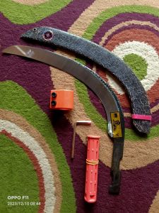 EGREK PALMKING PRO KOMPLET SARUNG