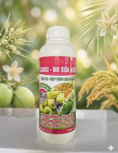 CANXIBO SỮA KẼM 1 LÍT CHỐNG RỤNG HOA VÀ TRÁI NON CHỐNG NỨT TRÁITHỐI BÔNG VÀ THÚC RA HOA TẬP TRUNG
