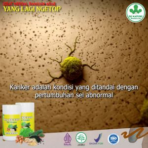 Habutop Obat Herbal Isi 100 Kapsul Original
