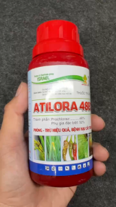 Cách Xử Lý Ớt Bị Thán Thư Cháy Trái Rụng Non – ATILORA 48EC 250ML Pha 250 Lít Nước Hiệu Quả