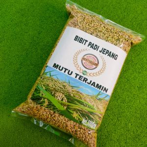Benih padi jepang japonica unggul per 500 grm