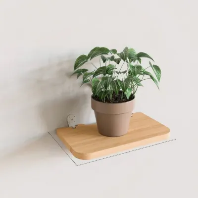 MUGG | No Drilling Solid Wood Wall Shelf