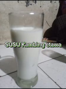 Susu Etawa Murni Asli Cair Original