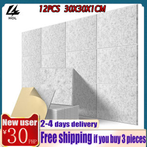 HOL 12Pack Acoustic Panels: High Density Polyester Fiber Wall Decoration