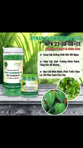 NPK 23-8-8 +TE Phân Tan Chậm Thông Minh Có Kiểm Soát - Chuyên dùng cho các loại cây kiểng - Rynan 230