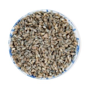 WENXIANGZAN | Sugar Control Organic Qinkoji Rice