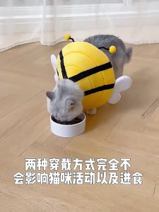 [Ready Stock] Soft Cotton Elizabeth Ring E-collar Anti-Licking Headgear Sterile Collar ECollar Pet Cat Dog 宠物猫咪伊丽莎白圈头套