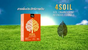 เส้นมือ ผ่าตัดโฟร์ซอย สารเพิ่มประสิทธิภาพ ความแข็งแรง สารปรับปรุงบำรุงดิน สูตรเข้มข้น ชนิดผง ตราโฟร์ที