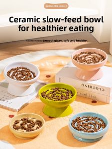 Ceramic Slow Feeding Bowl for Cats And Dogs Anti-choking Medium Small Dogs High Footed Slanted Mouth Cat Food Bowl Pet Supplies