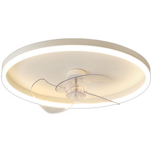 Modern Minimalist LED Ceiling Light