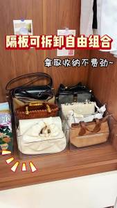 Adjustable Partition Transparent Bag Organizer