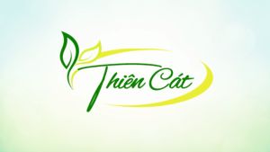 Trà Thải đ.ộc mát gan Thiên Cát thanh lọc cơ thể hạ men gan tăng cư.ờng chức năng gan