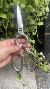 Kéo làm bếp đa năng Kai Nhật nội địa sắc bén tháo ra lắp ráp tiện lợi rất bền và dễ sử dụng - Dụng Cụ Nhà bếp