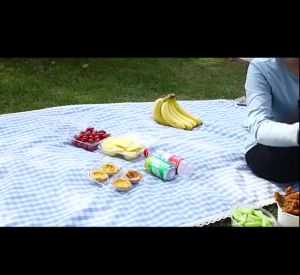 พัดลมไล่แมลงวัน 🦟 เครื่องไล่แมลงวัน ไฟฟ้า (ใช้ถ่าน AA 2 ก้อน) เครื่องไล่แมลงวันไร้สาย ปลอดภัย ไร้สารเคมี ที่ไล่แมลงวัน