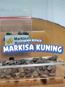 Benih Markisa Kuning Unggulan Berkualitas biji bibit repack passiflora edulis var hydroponik hidroponik tanaman berbiji buah pot