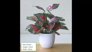 Artificial Plants Bonsai Fake Plants Home Decoration Accessories Plant Plant Pot Office Decoration Living Room Decoration