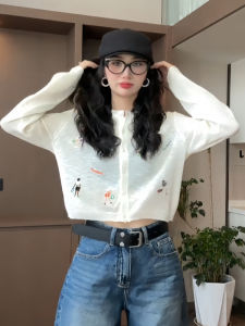 Thin Embroidered Ice Silk Knitted Open Cardigan Outerwear Loose Fashionable Long Sleeve Cover up Spring Autumn New Arrival