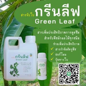 สารจับใบ กรีนลีฟ สารเพิ่มประสิทธิภาพการดูดซึม ยึดเกาะ ขนาด 1 ลิตร