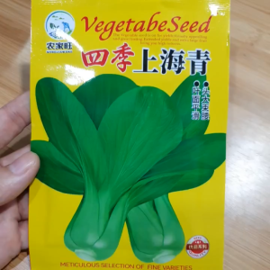 Hạt giống cải thìa xanh cao sản khoảng 300 hạt - Hoang My food and beauty