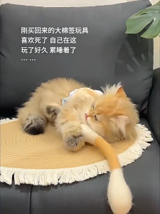 Cotton Stick Catnip Felt Toy for Cats larger Catnip-scented Soft and Non-toxic Biting Playing
