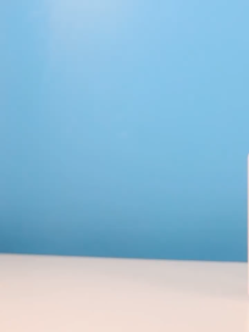 Pet Cleaning Collection: 260g Dry Shampoo Powder + Dog/Cat No-Rinse Shampoo Lotion + Puppy/Rabbit Bath Shampoo