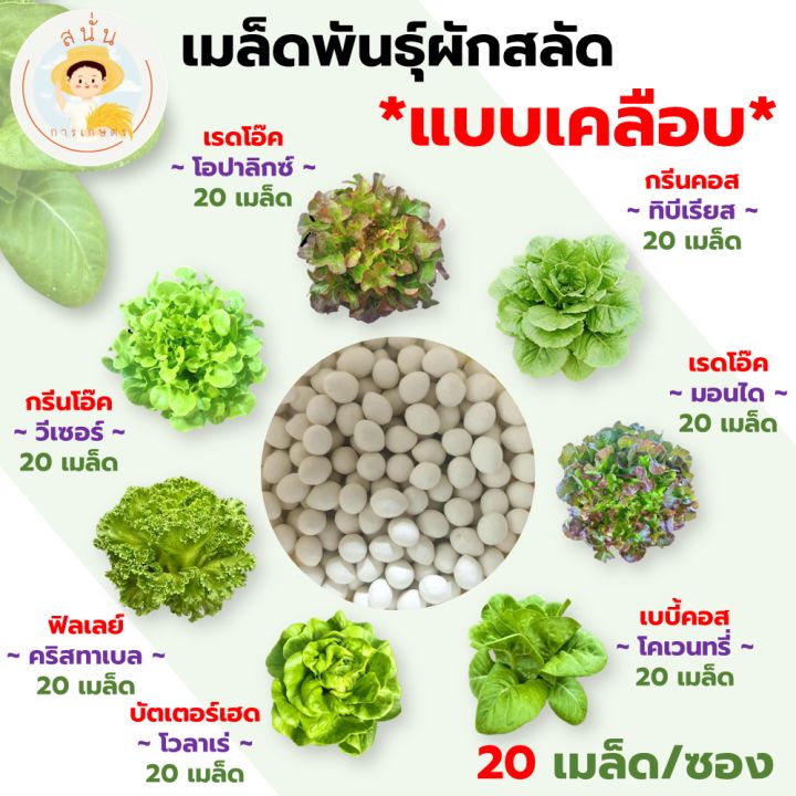 เมล็ดพันธุ์กรีนคอส ออติเกียร์ เมล็ดเคลือบ