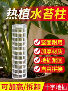 Water Moss Climbing Column: A Perfect Match for Patchwork Vines & Philodendron