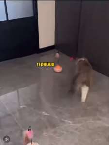 Cat Electric Toy 360° Rotating Cute Kitten Interactive Cat Teaser Laser Point New Version