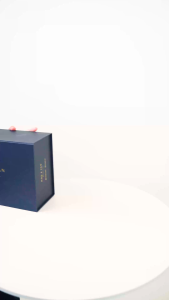 HONYAN Premium Tas Selempang Wanita Model Terbaru Branded - Louis Quilted Chain Sling Bag