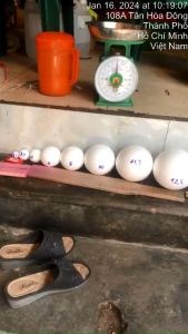 Combo 10 Banh Xốp nhiều kích thước dùng làm Hệ Mặt Trời