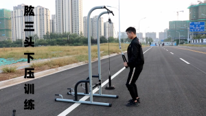 Bracket Pulley Adjustable for Gym Equipment Accessories Fitness Equipment Clothesline Gym Shop Lifts Practical
