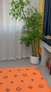 12 Hooks Clothes Hanger: A Comprehensive Guide for Your Closet Organizer