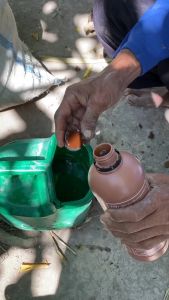 EM4 Peternakan 1 Liter EM4 Peternakan 1Liter Effective Microorganisms 4