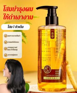 แชมพูสารสกัดจากโสม คิเซอร์ ให้ความชุ่มชื้นแก่รูขุมขนสีดําและทําความสะอาดแชมพู