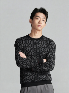 Fashion Business Casual Round Neck Long Sleeve Sweater