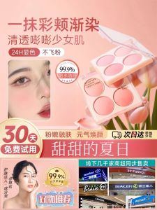 Icing on the Cake Four-Color Matte Low-Saturation Pink Peaches Natural Makeup Student Affordable Blush Enhance Color Long-lasting