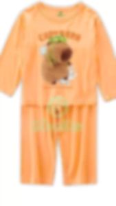 Bộ đò dài taybộ thu đông bé trai bé gái hình in capybara cho bé từ 6kg-30kg.DT07