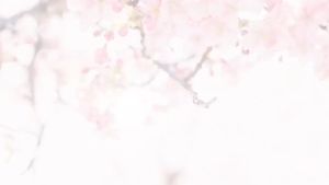 Amsel Grape Seed Plus แอมเซล เกรปซีด พลัส 30 แคปซูล [1 ขวด] AA 6304 สารสกัดจากเมล็ดองุ่น