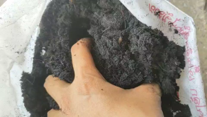 สุดคุ้ม!! ดินเพาะเมล็ด ดินเพาะต้นกล้า ดินปลูกหญ้า