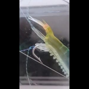 Wisell กุ้ง เหยื่อตกปลา เรืว 8 ซม. / 5 กรัม, สีเหยื่อ, น้ำหนัก, ลดลับซิลิโคน, น้ำหนัก