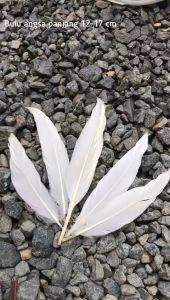 BULU ANGSA UJUNG LANCIP 100 HELAI - BULU AYAM WARNA WARNI - BULU ANGSA WARNA WARNI - BAHAN AKSESORIS DREAM CATCHER PENANGKAP MIMPI - HIASAN DINDING MURAH