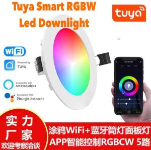 Tuya wifi smart downlight LedAI-DL01-18W RGBW Minimum order 2pcs